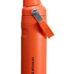 IceFlow™ Bottle with Fast Flow Lid | 16 OZ