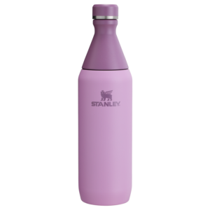 All Day Slim Bottle | 20 OZ - Stanley Create