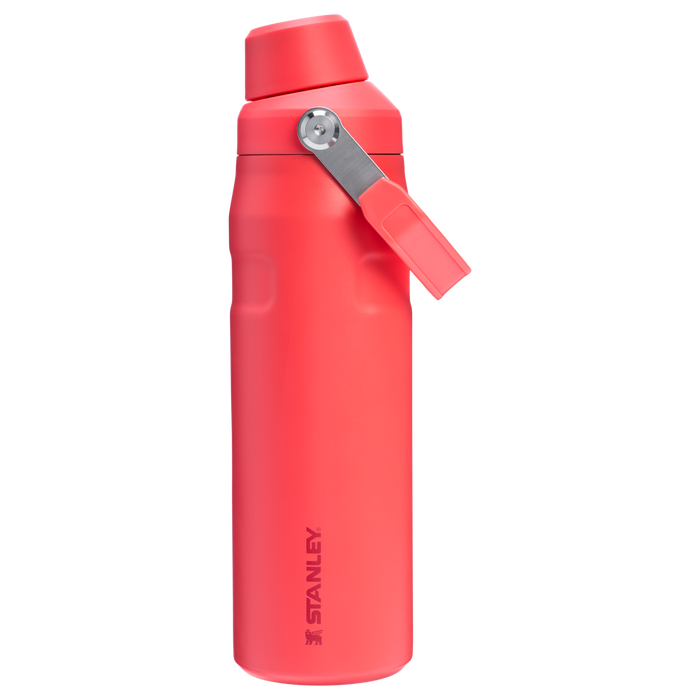 Hot Coral